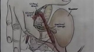 Sex Education Orgasm Training Video porn video